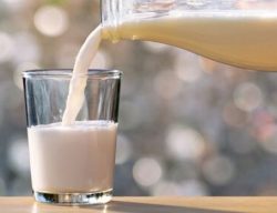 Li-ion Batteries for Cold Storage: OneCharge Batteries Became The Power Solution Of Choice For a Leading US Dairy Producer Li-ion Batteries for Cold Storage: OneCharge Batteries Became The Power Solution Of Choice For a Leading US Dairy Producer